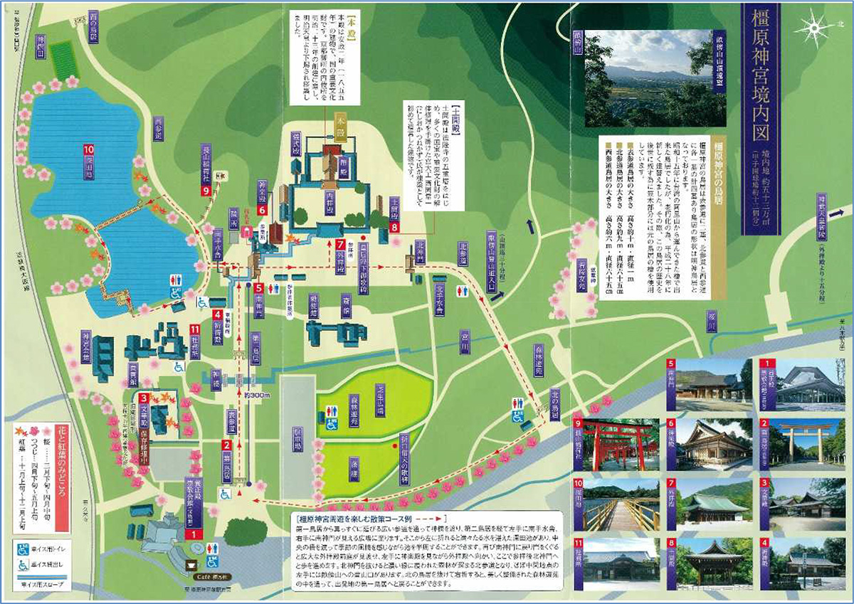 旭陵高等学校 関西支部 ハイキング